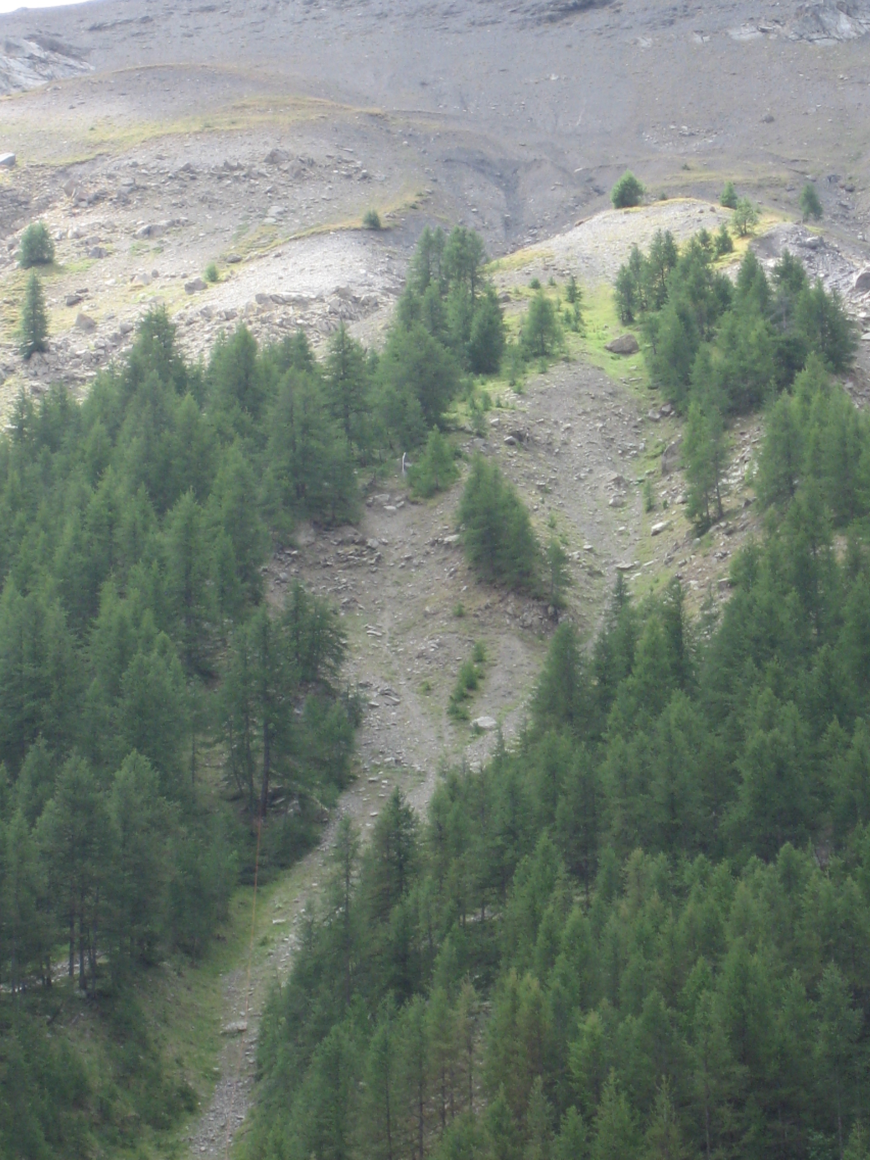IMG 0406 1