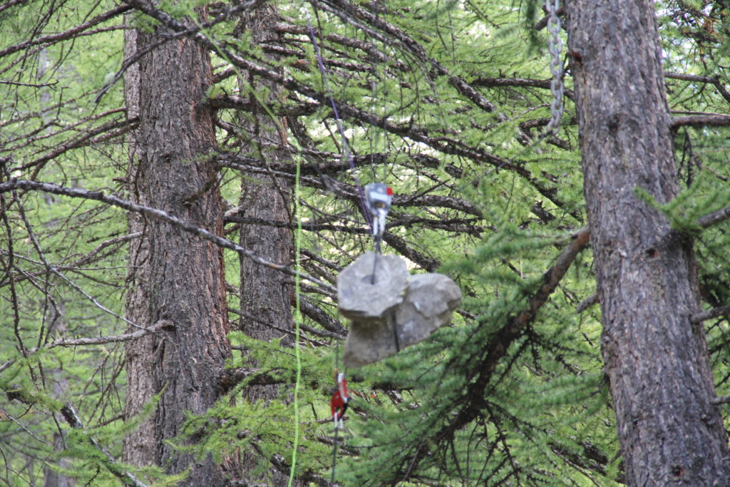 IMG 1893 1024x683